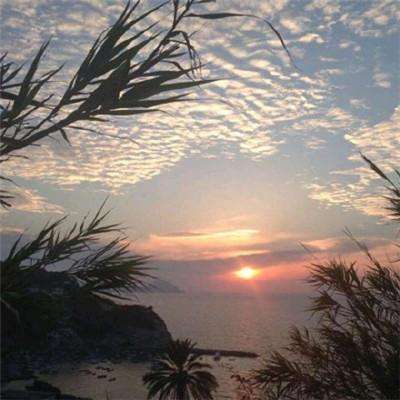 极速赛车平台截图