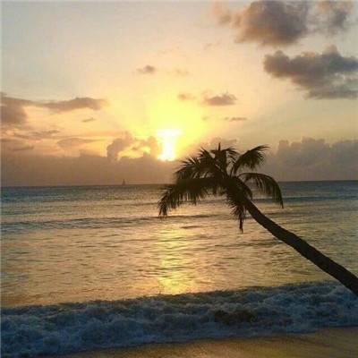 BoB体育平台手机下载