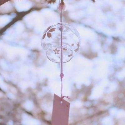 极速赛车平台截图