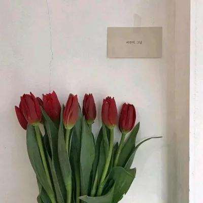 小罗代言米乐体育app手机app下载