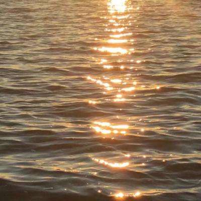 b体育官方体育app手机app下载